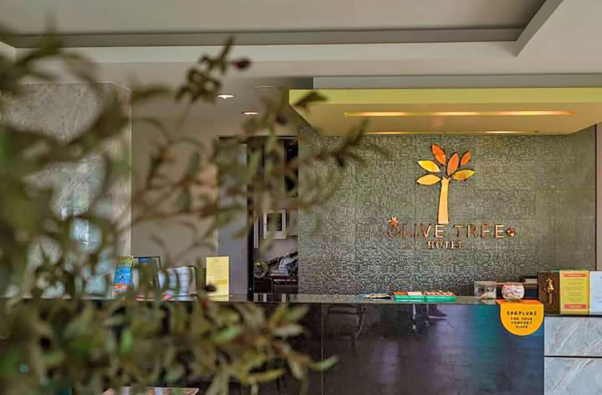Olive Tree Hotel Pattaya Na Chom Thian Exteriér fotografie